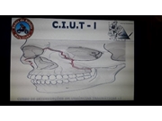 Curso CIUT no Pari